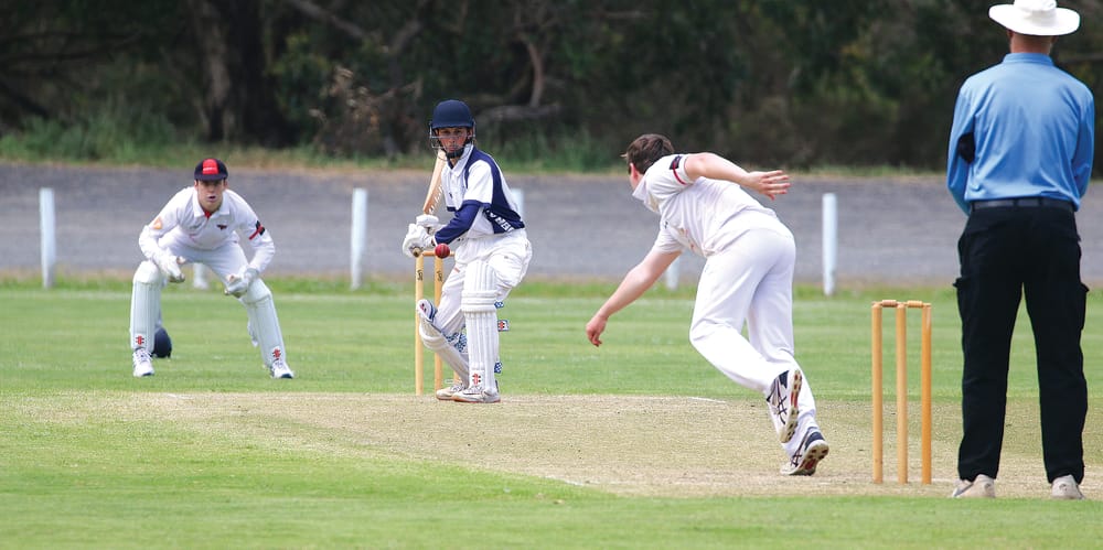 Donohue’s five helps Stingrays down Cobras post image