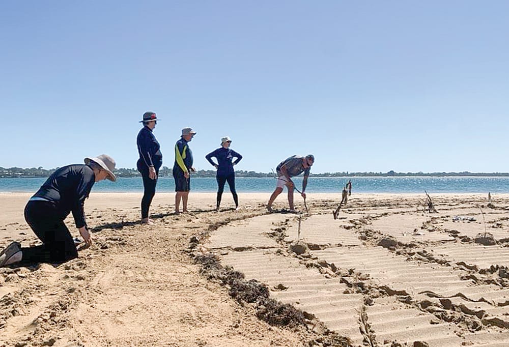 Well-being program promotes mental health of veterans post image