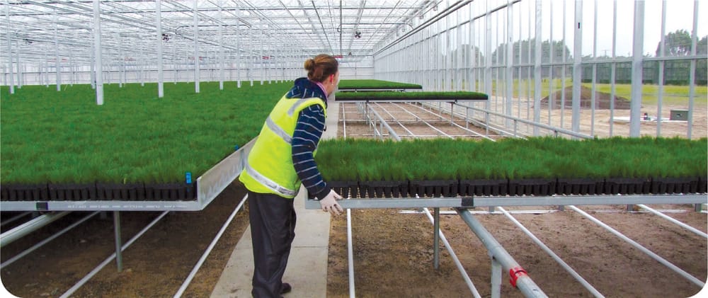 Boost for Gippsland nursery post image