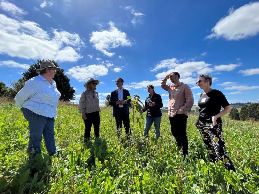 Minister Dimopoulos sees Landcare work firsthand at Mardan and Arawata post image