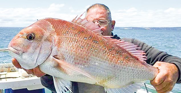 Around the Bay - Tuesday, November 23, 2021 post image