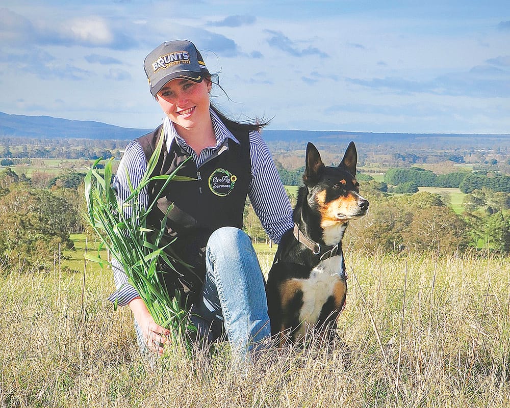 2023 Gardiner Foundation Tertiary Scholarships applications open post image