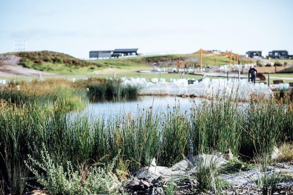 Cape takes state landscape and sustainability awards post image