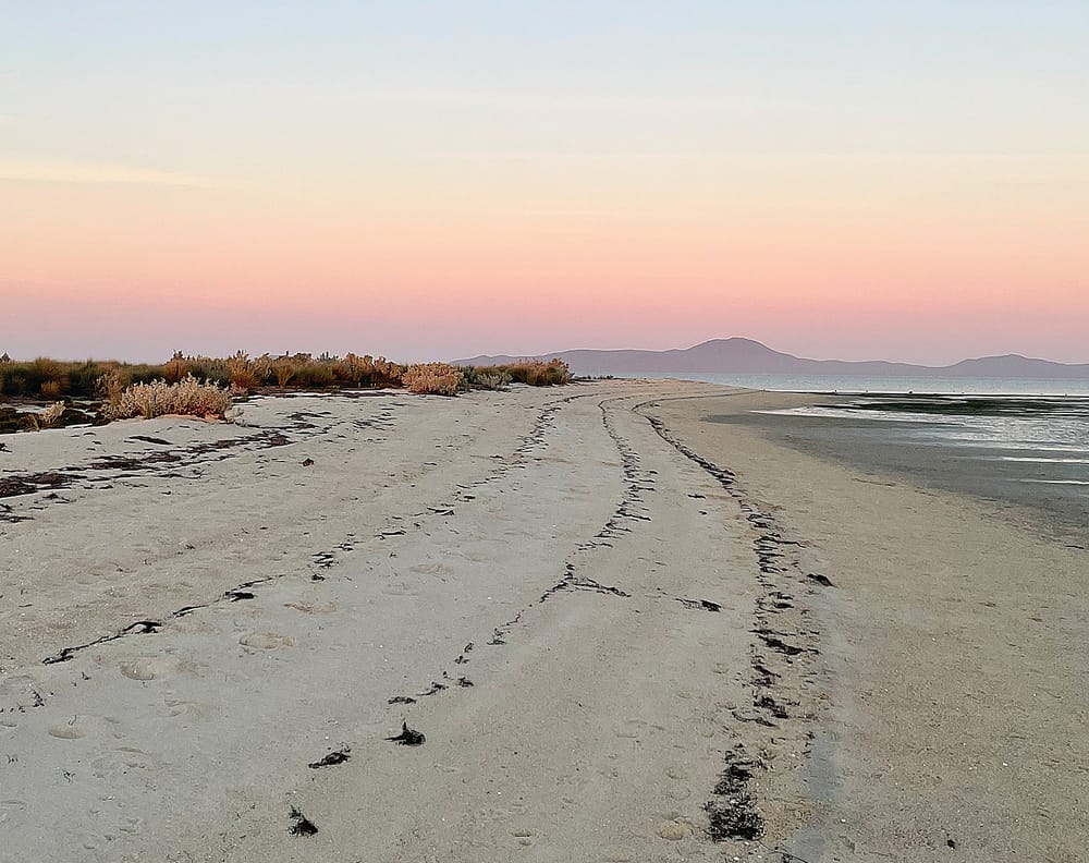 Calls for council not to hand foreshore land management to Government post image