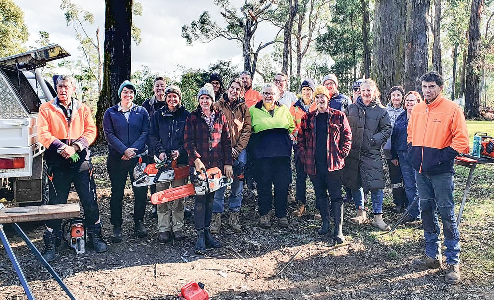 TAFE Gippsland and GCLP partner for Safe Sawing in the ‘Boo project post image