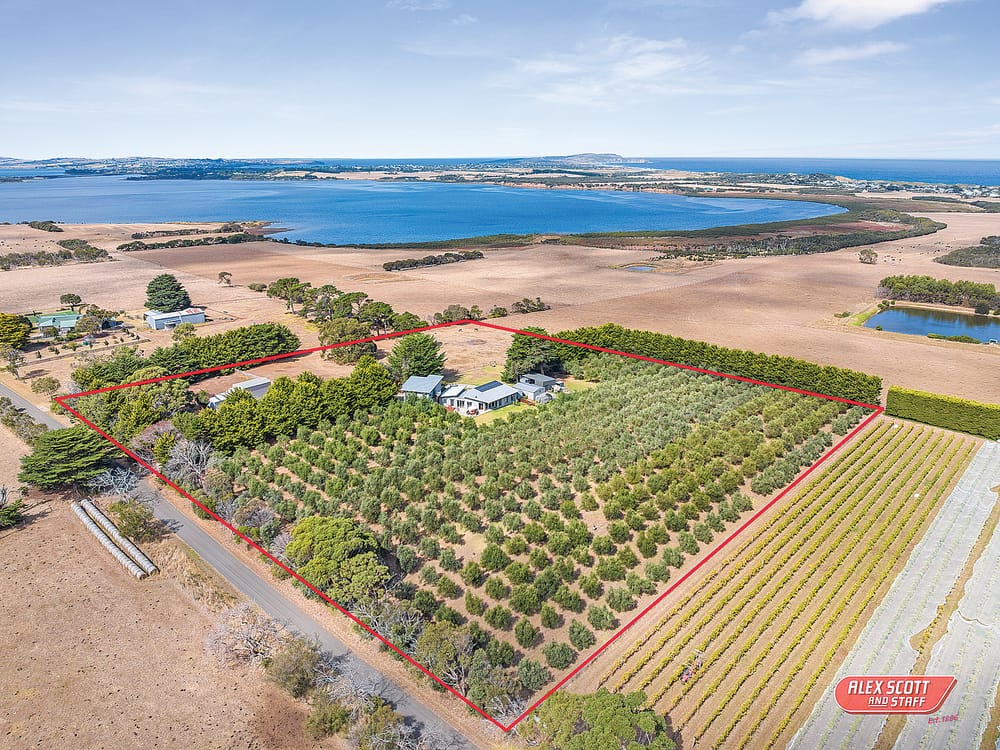 Kite Haven, your dream retreat! post image