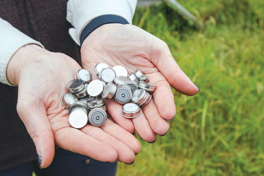 Protecting penguins from high temperatures post image