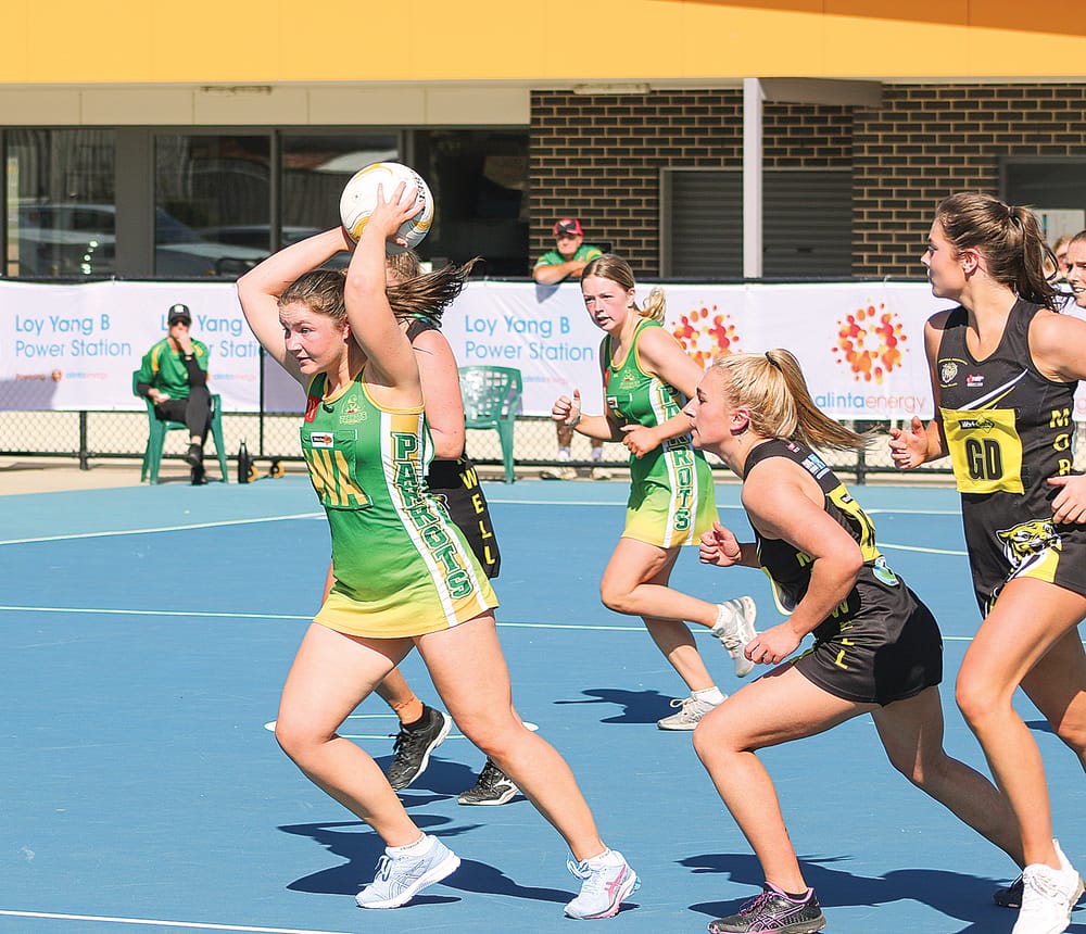 Parrots score decisive win over Moe post image