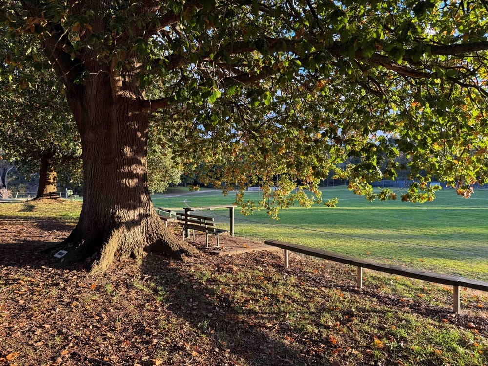 Mushroom trial: If she loved them, why didn’t she help them? post image