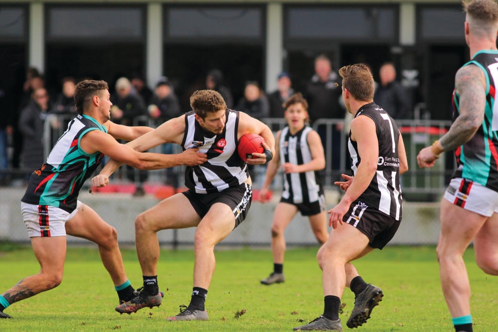 Magpies clipped by Cobras’ strike post image