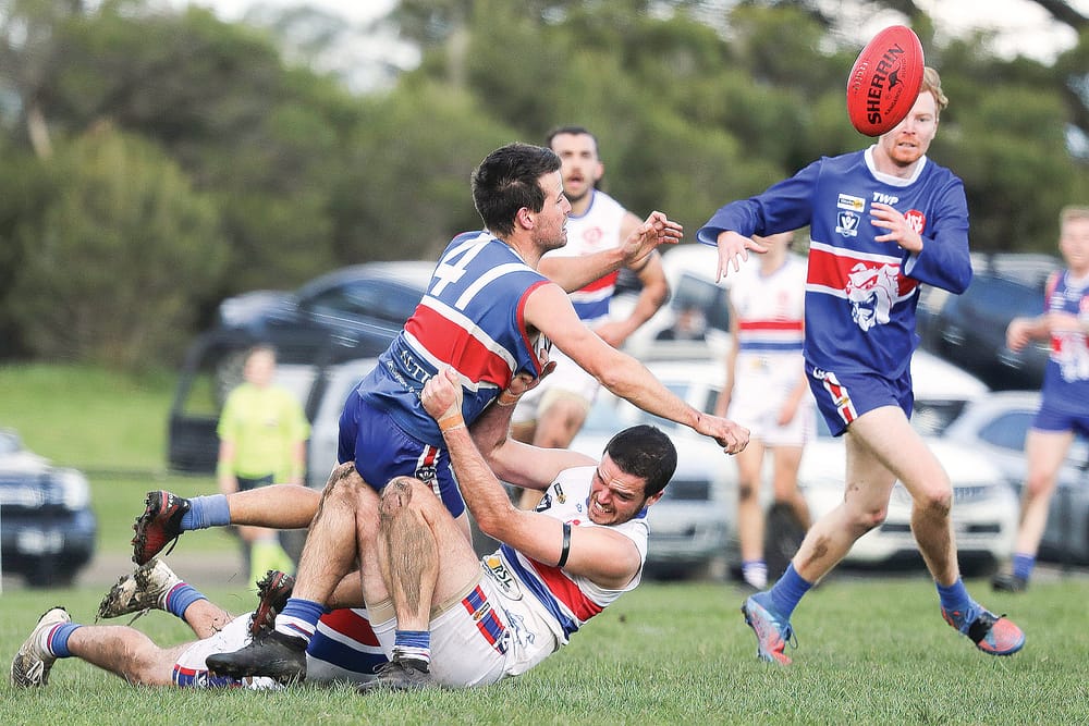 Island Bulldogs lead the pack post image