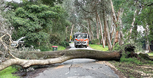 Busiest two years ever for our SES volunteers post image