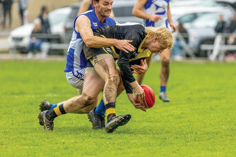 Sharks pick apart Tigers post image