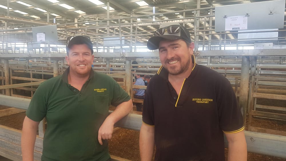 Almost $100,000 for Carinya post image