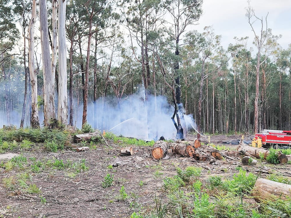 Work to reduce bushfire risk to be undertaken in Mirboo North post image