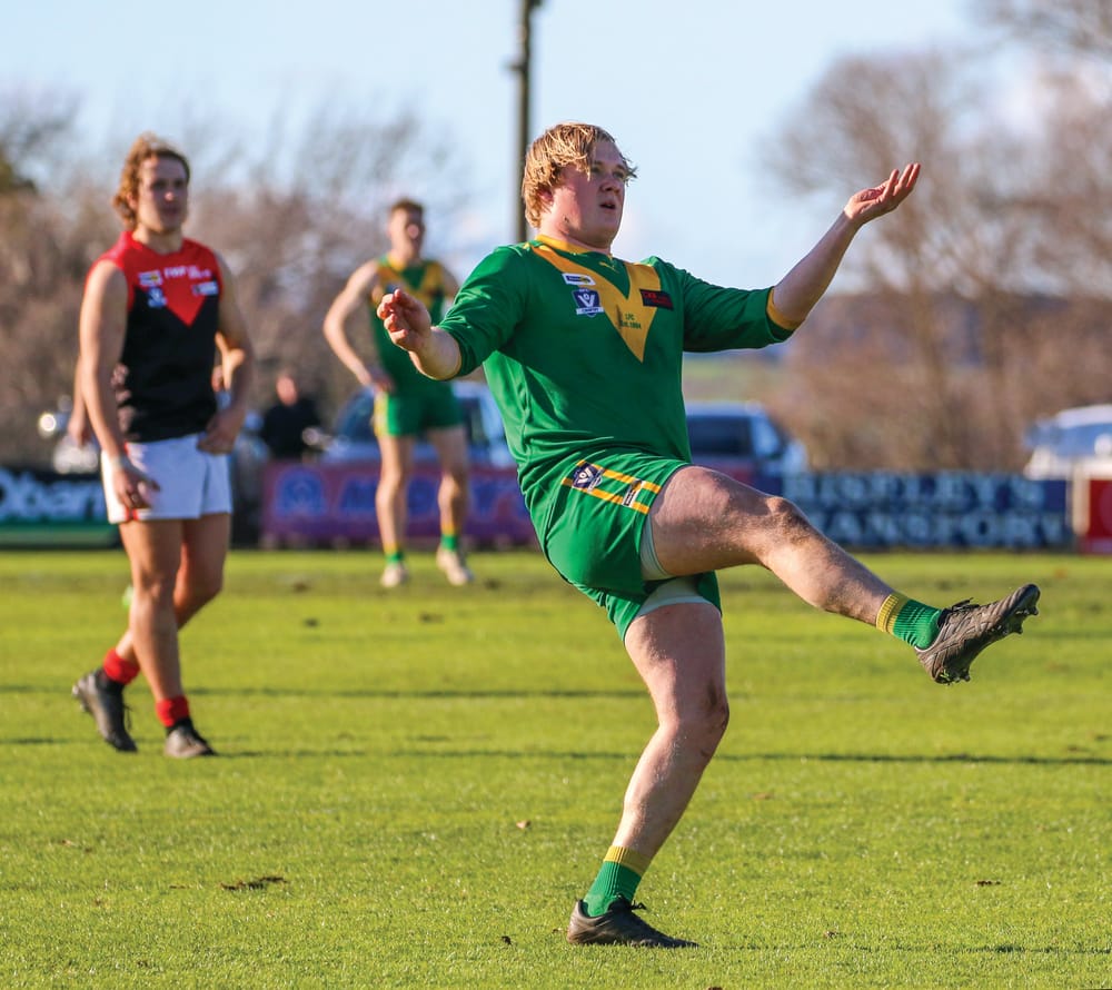 Parrots pluck Gulls post image