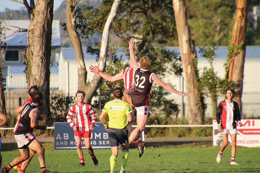 Trafalgar trumps Nyora post image