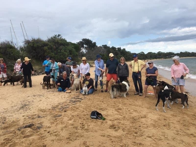 Dogs ‘unleashed’ on the beach post image