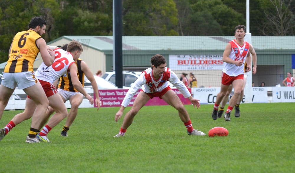 Kangas jump out on top post image