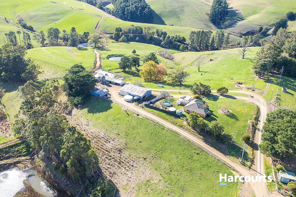 Premium Mount Eccles dairy farm! post image