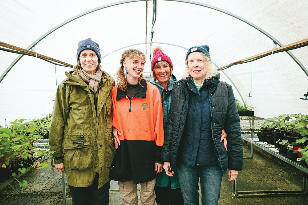 Victorian Landcare grants now open post image