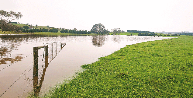 Don’t panic, we’ve got a plan post image