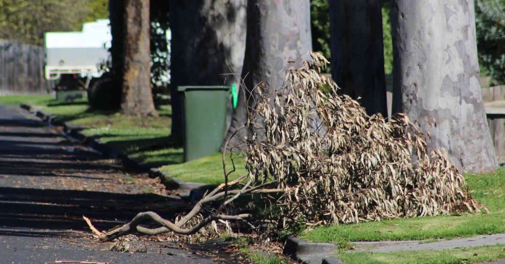 Let’s go free green waste in Bass and South Gippy post image