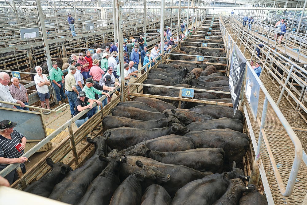 Change in days, but still a huge boost for Leongatha post image