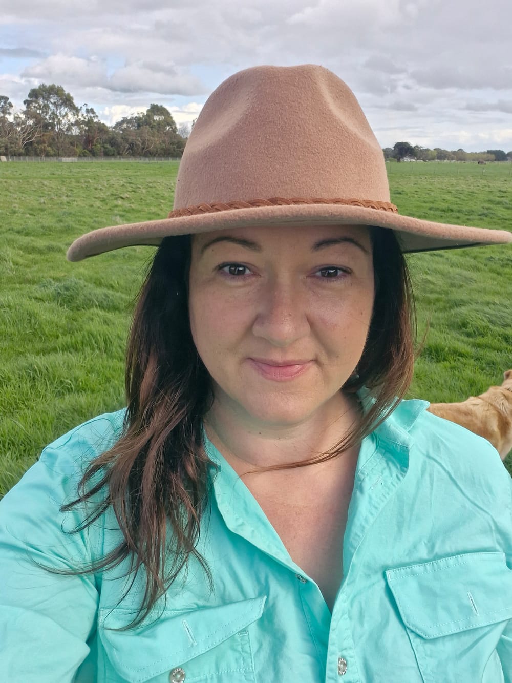 Shed Talk – For Farmers, by farmers to support yourself and your mates post image