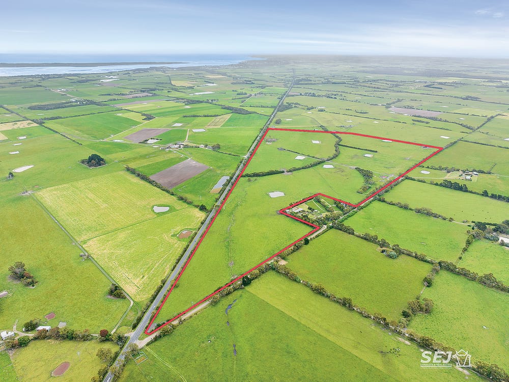 Great location – quality grazing! post image