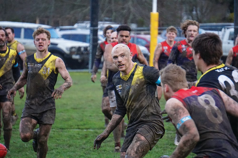 Tigers triumph in nail-biter before roaring premiership home crowd post image