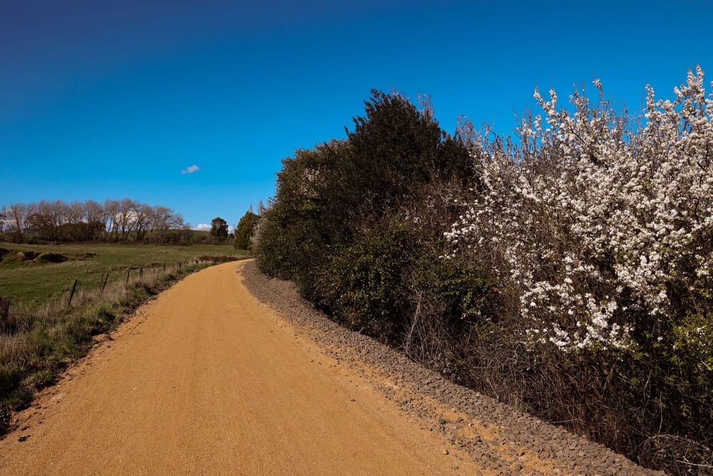 From disused railway land to new trail post image