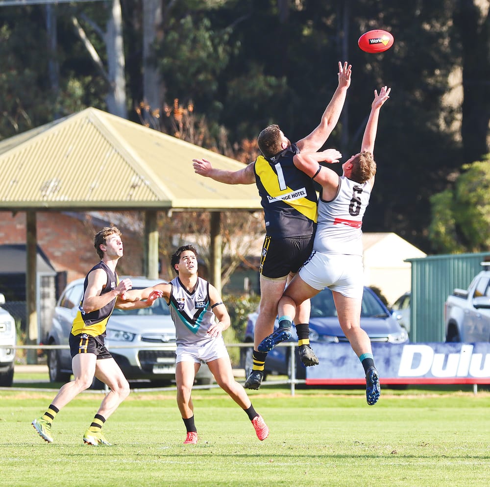 Tigers roar back to form with a dominant win post image