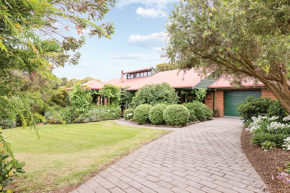 When sea change meets tree change post image