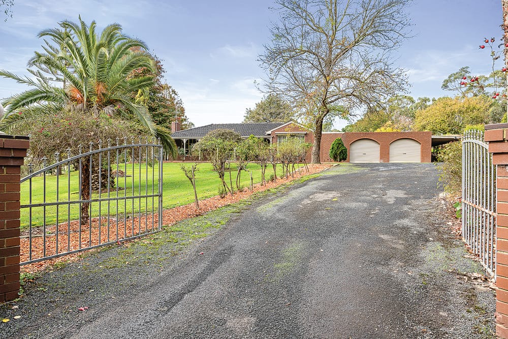 Best of both worlds post image