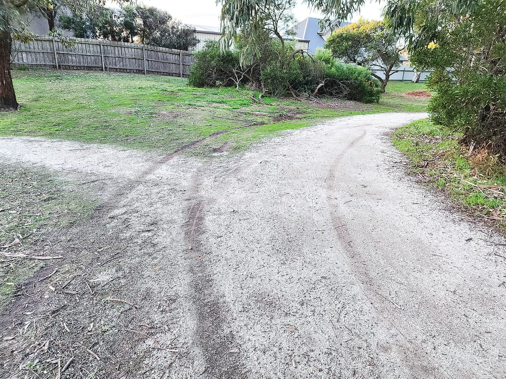 A pear-dicament for duo arrested after old trainline escapade post image