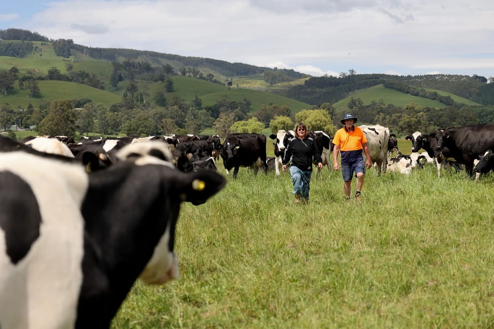 Local UDV call for $10 was right on the money post image