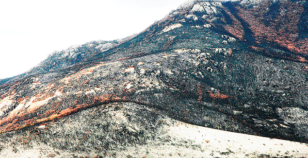 ‘Landscape Interrupted’ at Stockyard Gallery post image