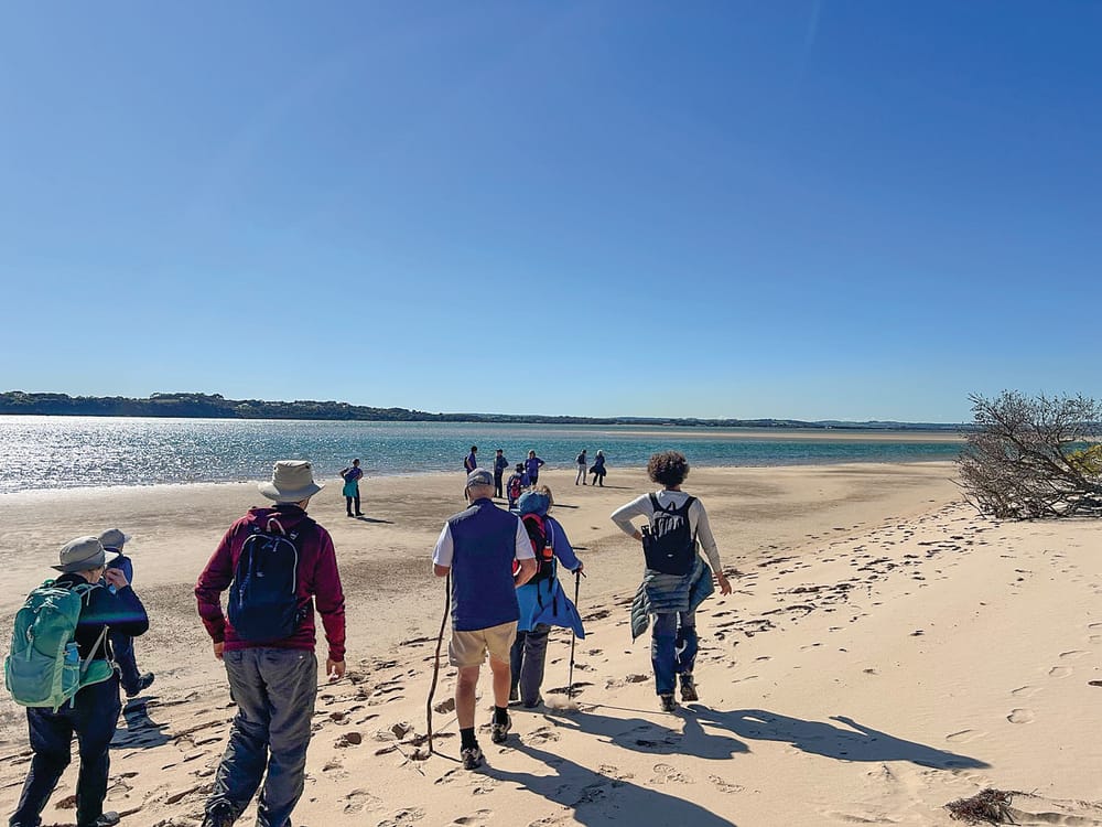 Explore the local terrain with the Bass Coast Strollers post image