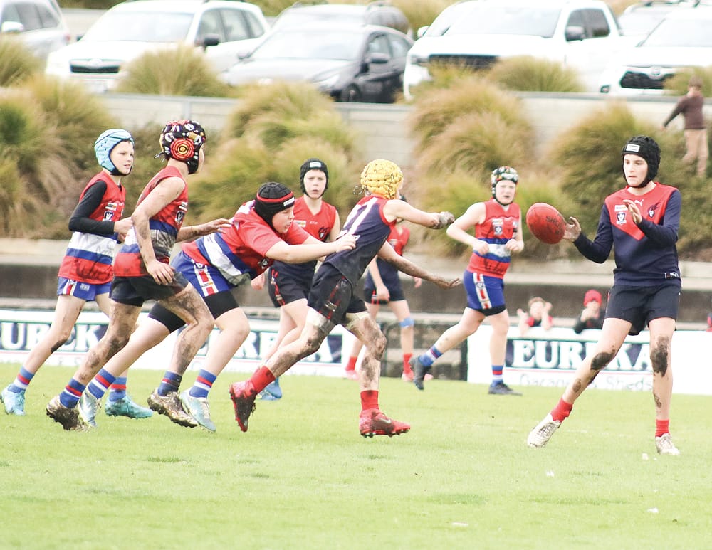 South Gippy teams dominate Central Gippsland juniors post image