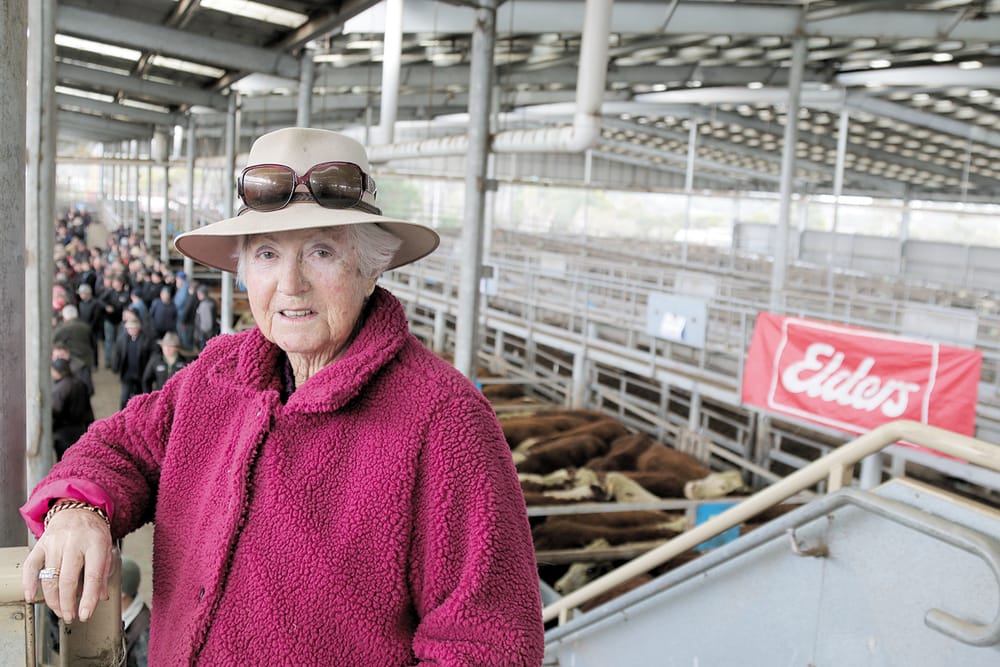 Prices holding up for high-quality cattle post image