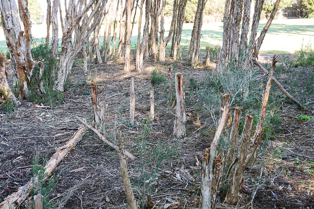 Locals tired of park destruction post image
