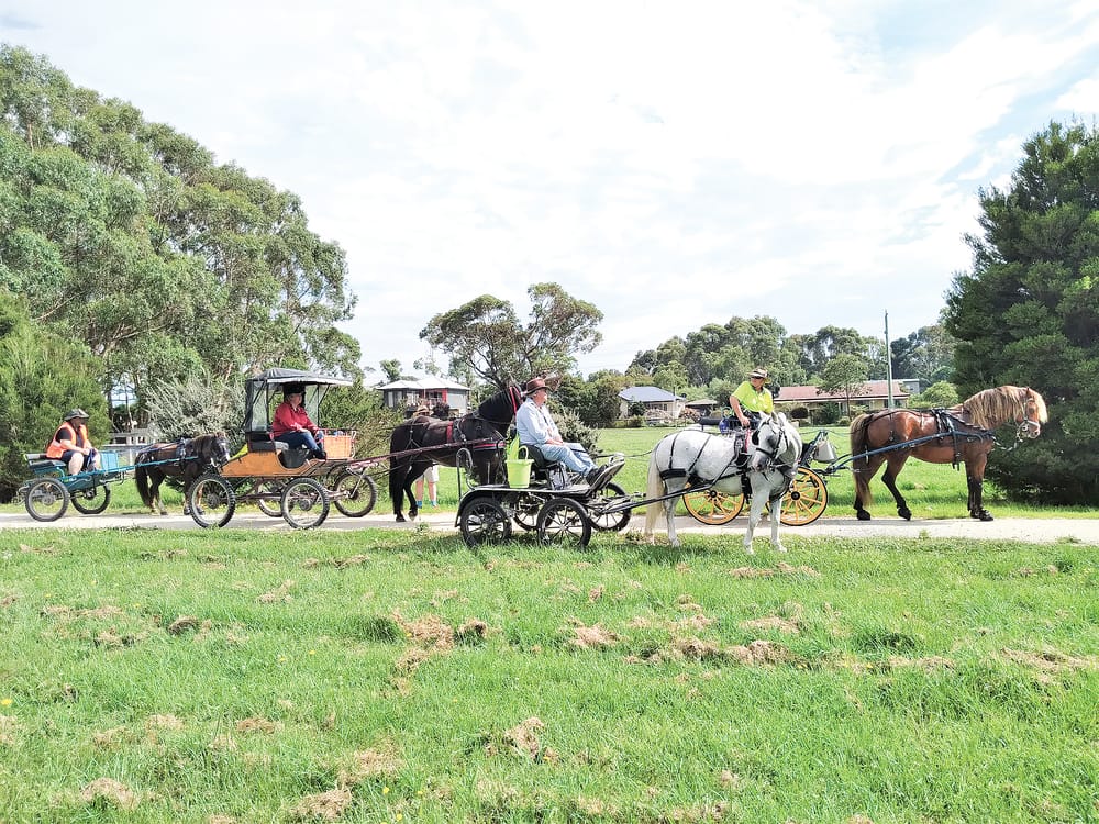 Watch as Fundraiser Harness Drive rolls past post image