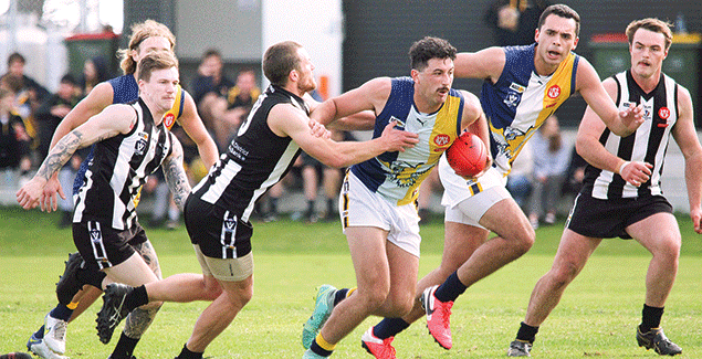 Sea Eagles devastate Magpies post image