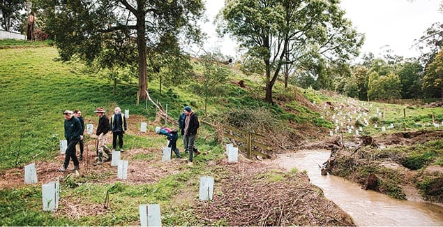 Nature activities for young veterans post image