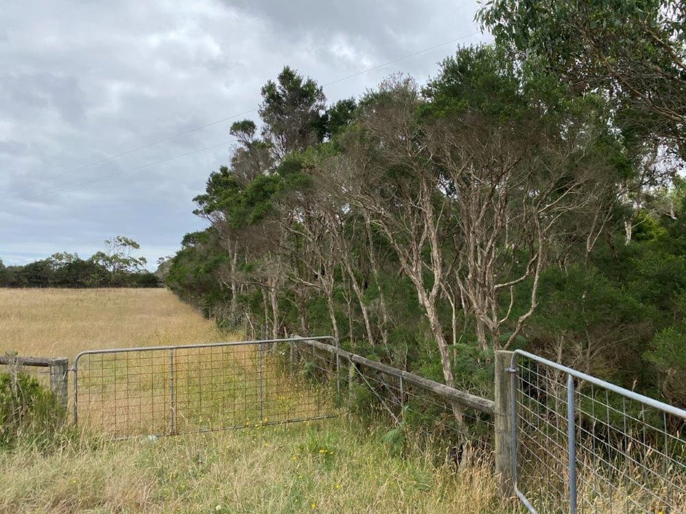 Some questions answered on $7.7m ‘Inland’ path post image