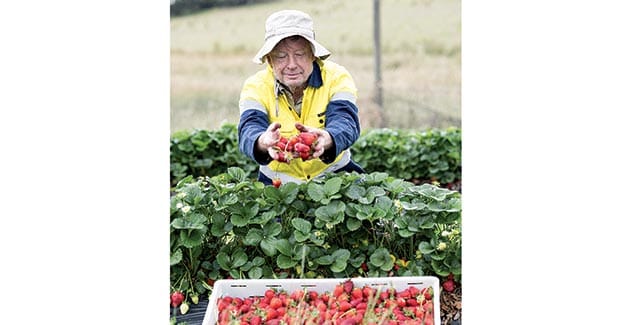 Farmers needed for new horticulture business study post image