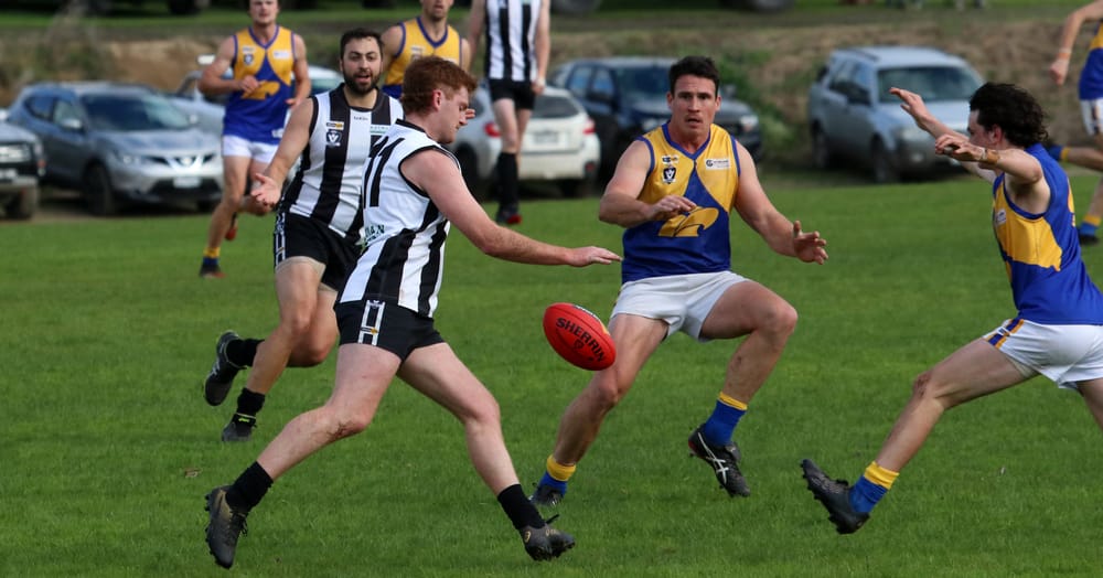 Ellinbank ends senior season post image