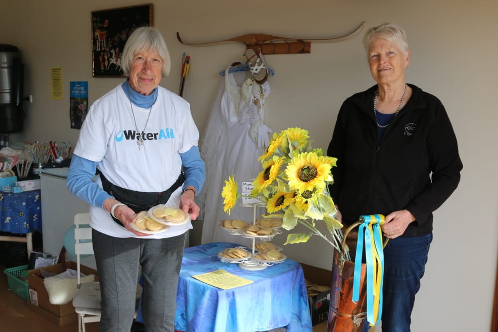 Garage sale aids two causes post image