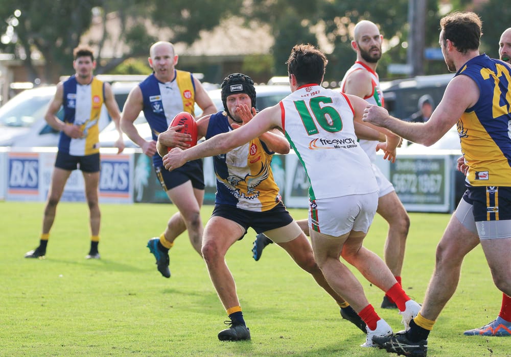 Sea Eagles make a statement at home post image